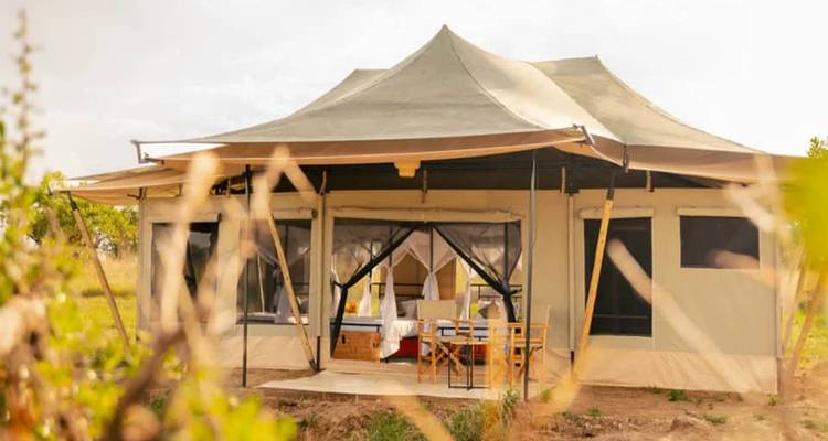 Alojamiento en tiendas de lujo en un entorno natural.