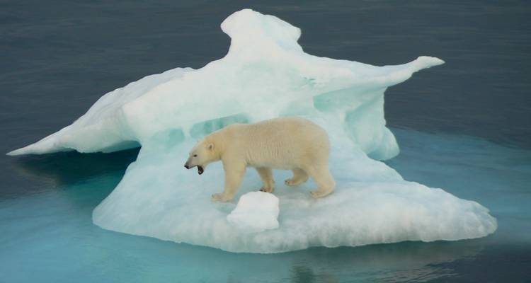 Best of the Western Arctic: Canada and Greenland from Toronto - Intrepid Travel 7