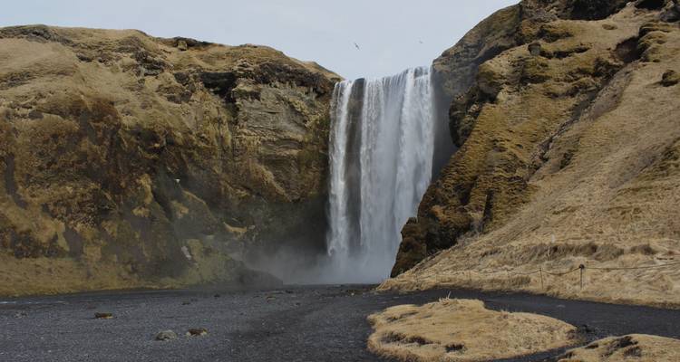 Skogafoss waterfall plunges over mossy cliffs into a misty canyon on an overcast day.