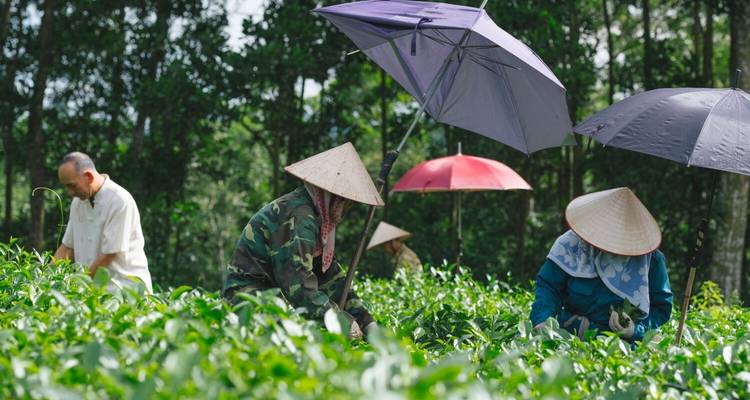 Charming Vietnam Family Holiday in  13 Days - Private Tour - Realistic Asia 6