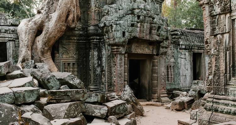 Gros plan de ruines de temple ancien couvertes de mousse et entrelacées de racines d'arbres.
