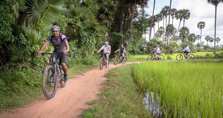 Un groupe de personnes faisant du vélo sur un sentier de terre à travers un paysage luxuriant.