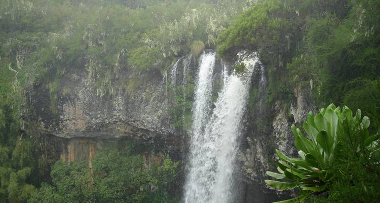 Waterval die naar beneden stroomt langs een klif te midden van weelderig groen.
