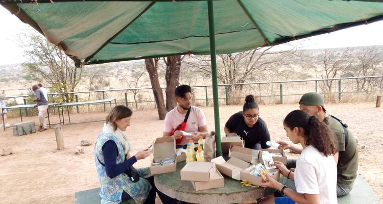 Gruppe von Menschen, die unter einem Baldachin picknicken.