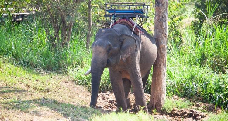 Un aperçu de la Thaïlande 1 semaine - BestPrice Travel 7