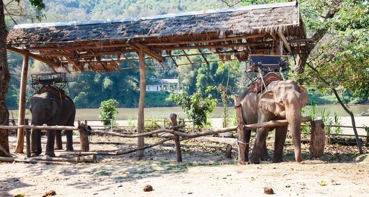 Un aperçu de la Thaïlande 1 semaine - BestPrice Travel 8