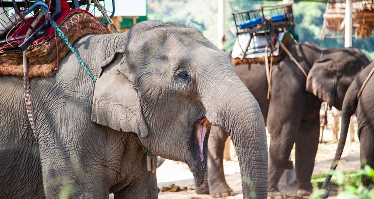 Un aperçu de la Thaïlande 1 semaine - BestPrice Travel 9