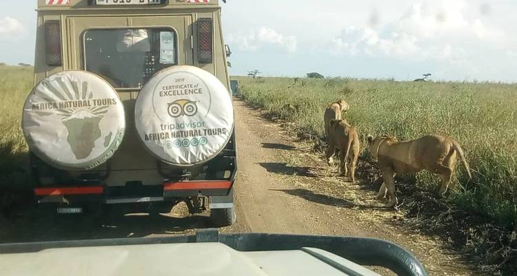 Meilleur safari de 3 jours en camping en Tanzanie au départ d'Arusha à un prix raisonnable. - Africa Natural Tours 1
