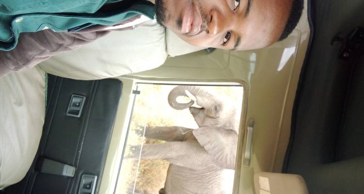 Meilleur safari de 3 jours en camping en Tanzanie au départ d'Arusha à un prix raisonnable. - Africa Natural Tours 4