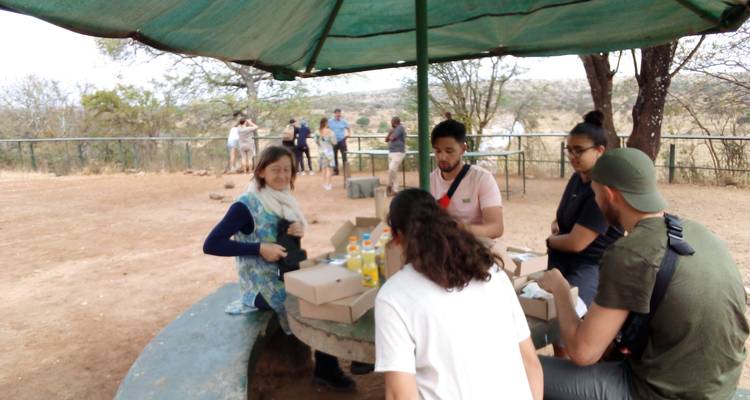Meilleur safari de 3 jours en camping en Tanzanie au départ d'Arusha à un prix raisonnable. - Africa Natural Tours 6
