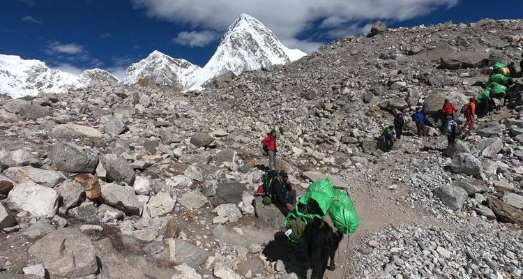 Budget Trek du camp de base de l'Everest - Alpine Ramble Treks  4