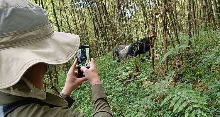 7 Days Amazing Gorilla and Wildlife Safari in Uganda - Kenlink Tours And Travel 7
