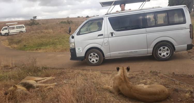 La mejor circuito de un día a Nairobi: circuito guiado al Parque Nacional de Nairobi, orfanato de elefantes y centro de jirafas - Gracepatt Ecotours Kenya 6