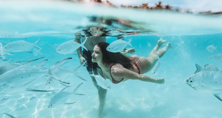 A woman swimming underwater surrounded by fish.