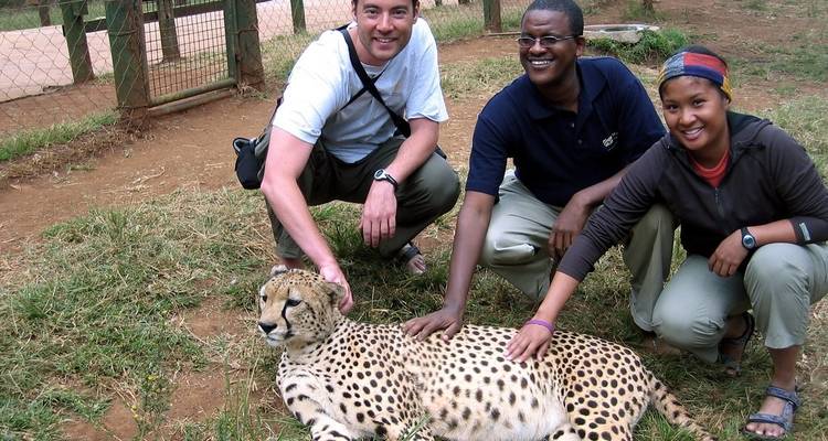 Volunteer with Wildlife Animals in Kenya - Gracepatt Ecotours Kenya 4