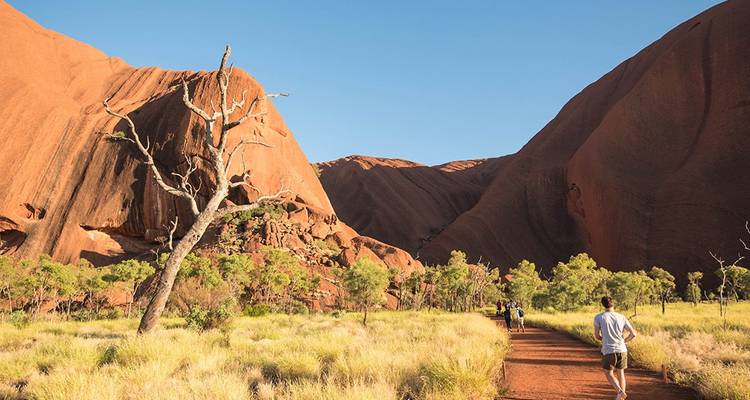 Aventura en Uluru y Cañón de los Reyes (including Parque Nacional de Uluru-Kata Tjuta) - Intrepid Travel 4