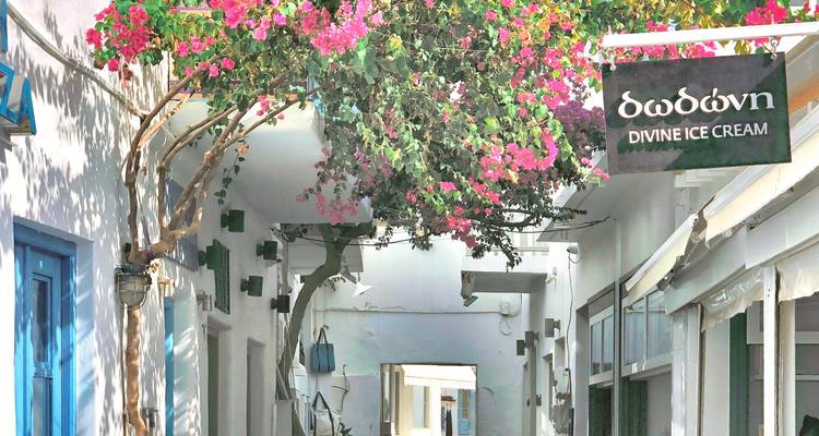 Charming alley adorned with pink flowers and signage.