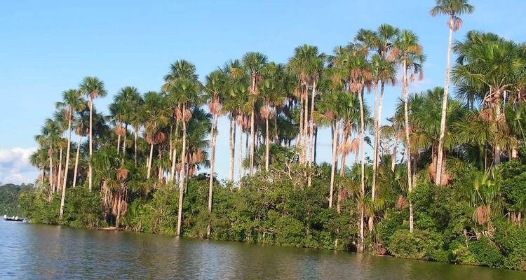 Selva Peruana de Tambopata Premium 3 días 2 noches - PVTravels 6