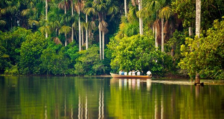 Selva Peruana de Tambopata Premium 3 días 2 noches - PVTravels 7
