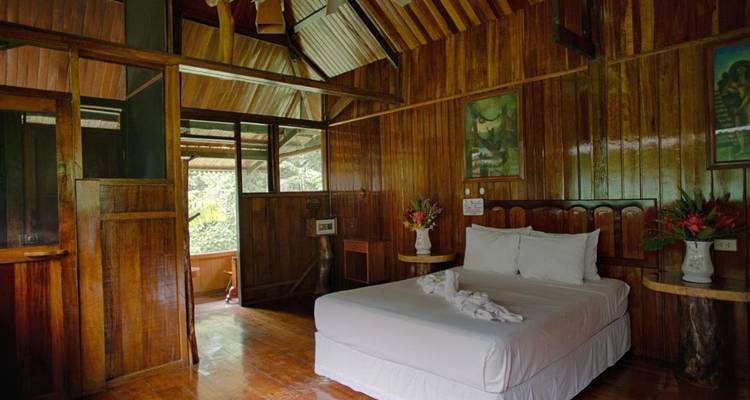 Selva Peruana de Tambopata Premium 3 días 2 noches - PVTravels 8