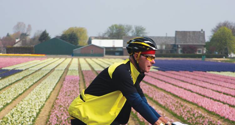 Cycliste roulant le long de champs de tulipes colorés.