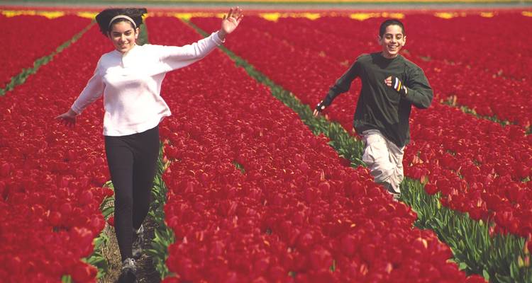 Des enfants courant à travers des champs de tulipes rouges éclatantes.