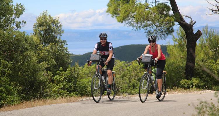 Ciclistas pedaleando por una ruta escénica rodeada de vegetación.