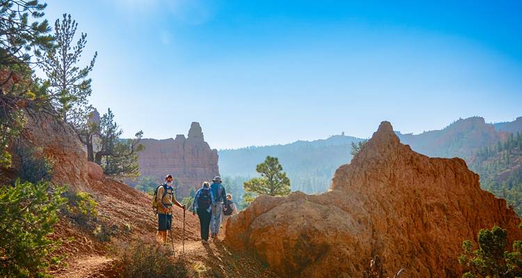Hikers on a trail in a desert canyon with rock formations.