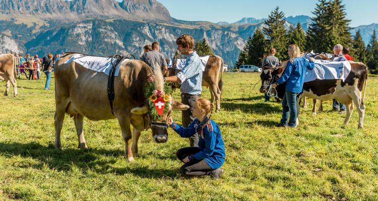 Aventure dans les Alpes suisses - Active Adventures 7