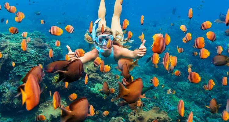 Person snorkeling with colorful tropical fish in clear water.