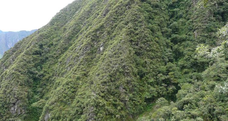 2 días Camino Inca real a Machu Picchu: circuito privado - Peru Trek 4 Good 1