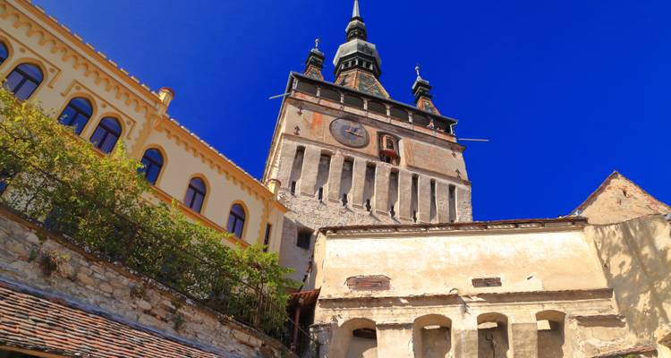 Transylvanian Tales: Journey through Medieval Towns, Castles, and Countryside - private tour - World Synergy Travel 7