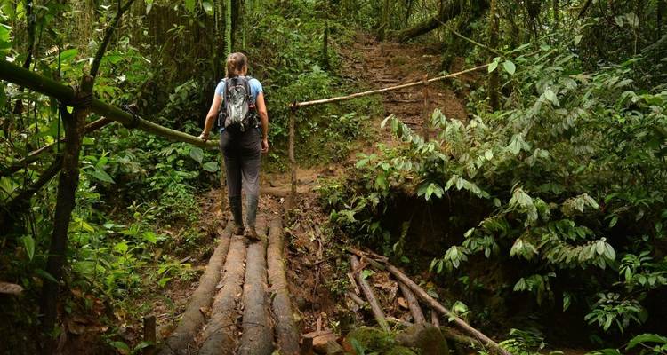 14 jours en Équateur : Amazonie et îles Galápagos - Responsible Travel South America 2