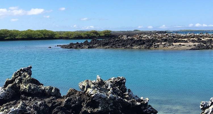 8 jours de visite des îles Galápagos - San Cristobal - Santa Cruz - Isabela - Responsible Travel South America 3