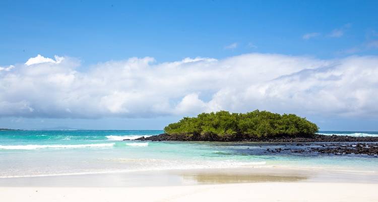 8 jours de visite des îles Galápagos - San Cristobal - Santa Cruz - Isabela - Responsible Travel South America 4