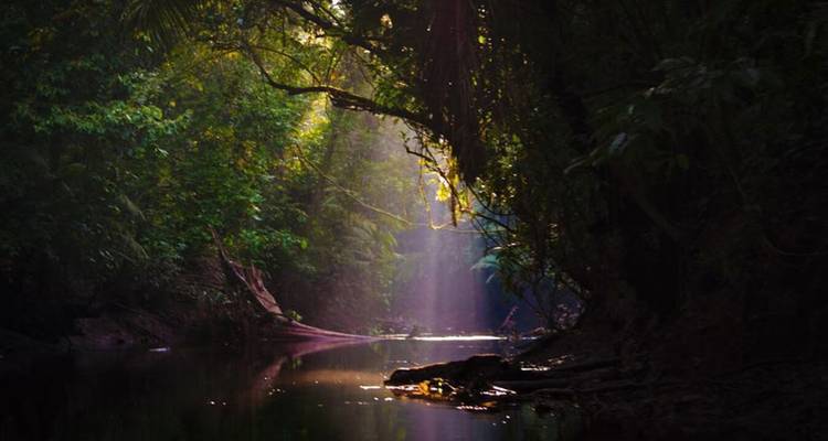 4 Days Cultural Yasuni Jungle Tour (Ticket Included) - Responsible Travel South America 1