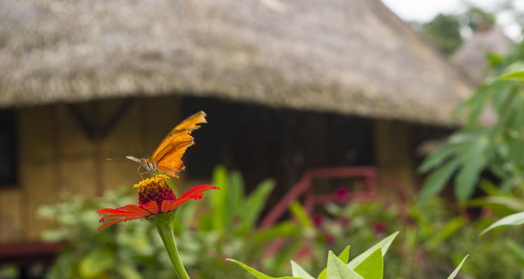 5 Days Cultural Yasuni Jungle Tour (Ticket Included) - Responsible Travel South America 4