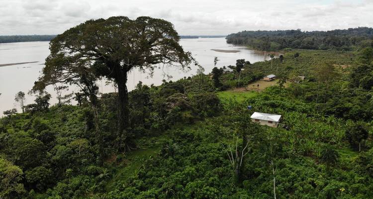 4 Days Amazon El Coca Lodge - Responsible Travel South America 2