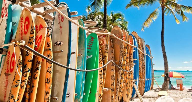 Surfboards lined up on a tropical beach with palm trees and a blue ocean in the background.