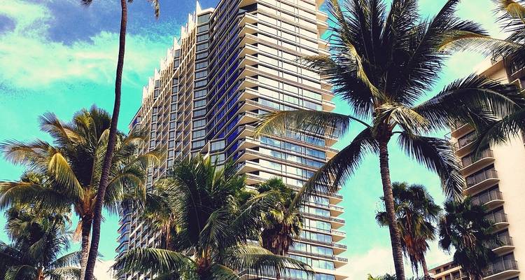 Modern high-rise building surrounded by palm trees against a vibrant sky.