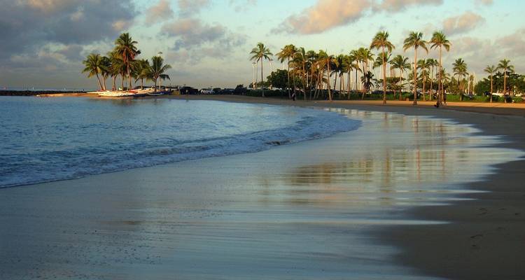 Quiet beach with palm trees and gentle waves under a blue sky in Honolulu.