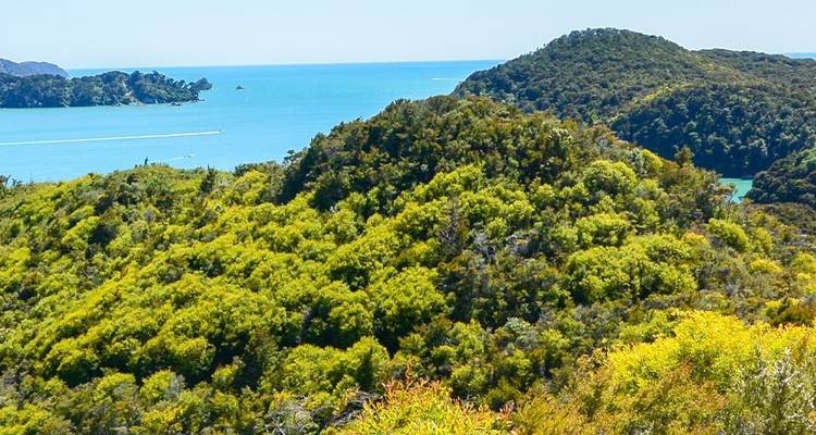 Marcher dans le parc national d'Abel Tasman en Nouvelle- Zélande - Intrepid Travel 3