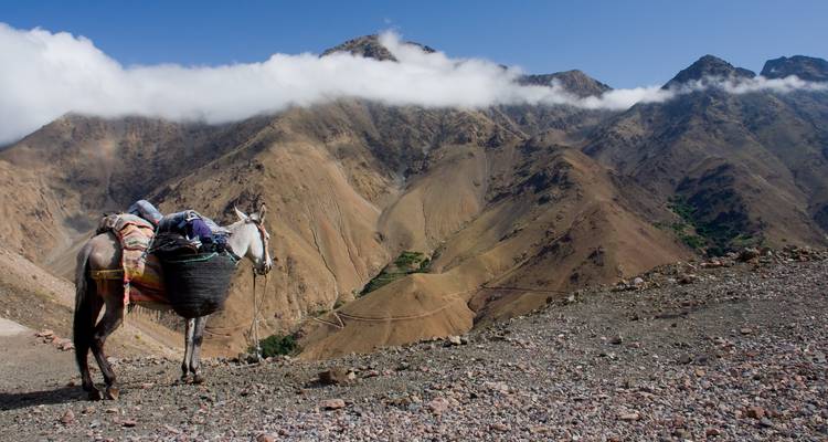 Excursión de 2 días y pernoctación en pueblos bereberes - Alto Atlas - MTB in Morocco 4