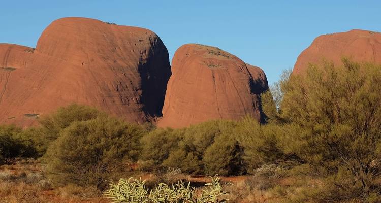 Centro Rojo Premium y Uluru - Intrepid Premium 4