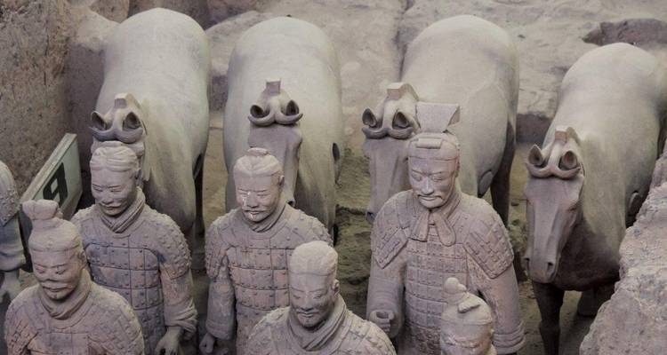 Guerriers et pandas, visite privée - TUI China 5