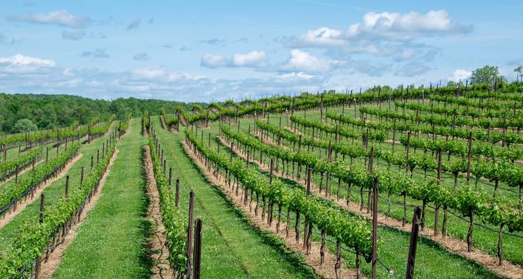 Ultimate Southern France (Small Groups, End Paris, 15 Days) - Luxury Gold 4