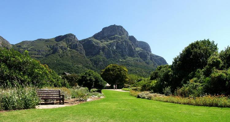 Jardines Botánicos de Kirstenbosch con la Montaña de la Mesa.