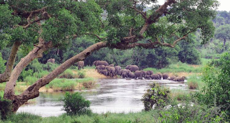 2 Days Best Ever Kruger National Park Safari from Cape Town - Africa Moja Tours And Safaris 4