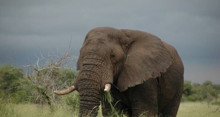 4 días - safari en grupo económico por Tanzania - Wonders of Creation Tours and Safaris 2
