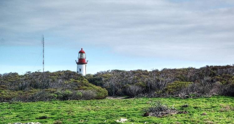 6 Days and 5 Nights Cape Town Tour - Africa Moja Tours & Transfers 1